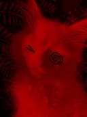 disk profile picture