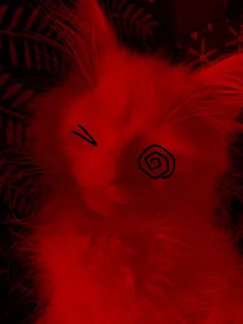 disk's Kick streamer profile picture