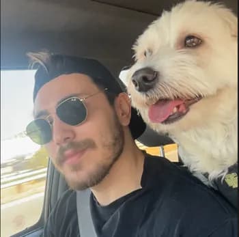 dk_qq's Kick streamer profile picture