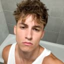 Dodo profile picture