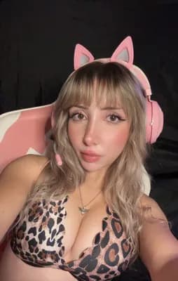 dollmation's Kick streamer profile picture