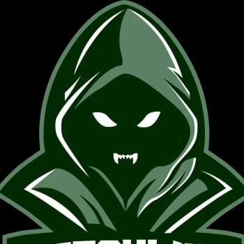 dracul1nx's Kick streamer profile picture