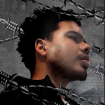 Drillys's Kick streamer profile picture