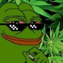 DrKushman profile picture