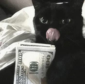 DZ_deals's Kick streamer profile picture