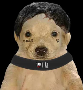 ElChavoGamer's Kick streamer profile picture