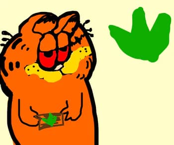 elchevelito's Kick streamer profile picture