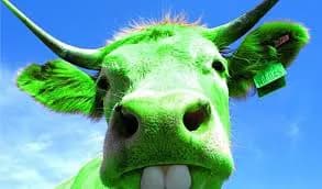 elglowmc's Kick streamer profile picture