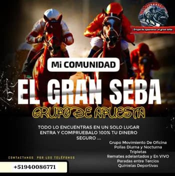 elgranseba's Kick streamer profile picture