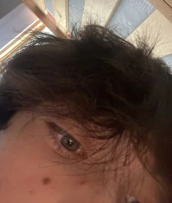 elmodres2016's Kick streamer profile picture