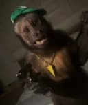 EnzoBoule profile picture