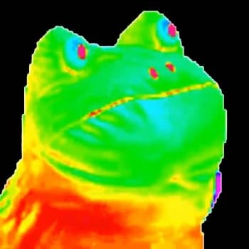 Erokezz's Kick streamer profile picture