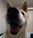 Ersan profile picture