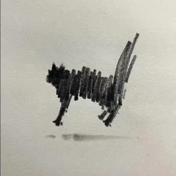 escontin's Kick streamer profile picture