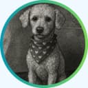 EzeeFlores3 profile picture