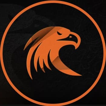 Falcon212c's Kick streamer profile picture