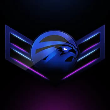 Falconn2k's Kick streamer profile picture