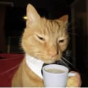 fatboislimrp profile picture