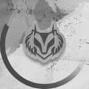 FoxRex profile picture