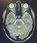 g4lle profile picture