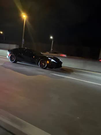 GentleSection's Kick streamer profile picture