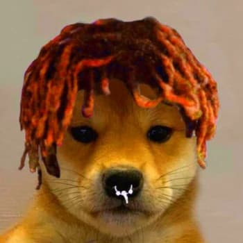 Glorbin's Kick streamer profile picture