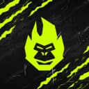 GORILLA_UA profile picture