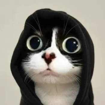 h3yaxxx's Kick streamer profile picture