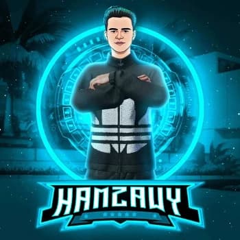 Hamzawy1v4's Kick streamer profile picture