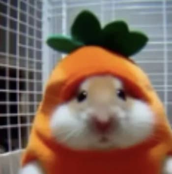 heddi's Kick streamer profile picture