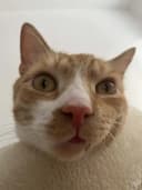 Holikk profile picture