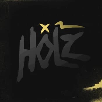 Holz's Kick streamer profile picture
