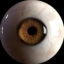 hoova88 profile picture