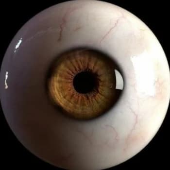 hoova88's Kick streamer profile picture