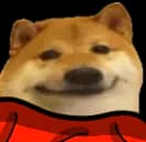 iloveallyouguys's Kick streamer profile picture