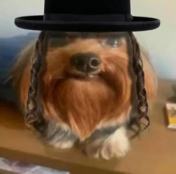 ImagineK's Kick streamer profile picture