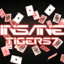 insanetigers7 profile picture