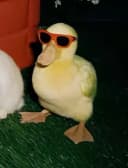 ItsNav profile picture