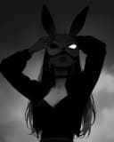 iWDE profile picture