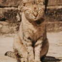 jackielee100 profile picture