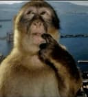 jaycartwrightusa profile picture