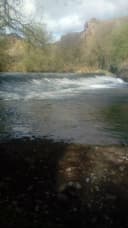 Jeerydash profile picture