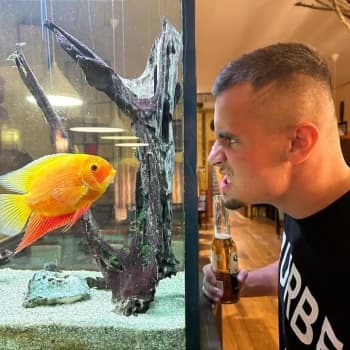 Jenyss's Kick streamer profile picture