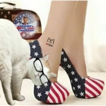 JewelsJonesLive's Kick streamer profile picture