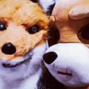 Kettuli_ja_Nallukka profile picture