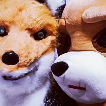 Kettuli_ja_Nallukka's Kick streamer profile picture