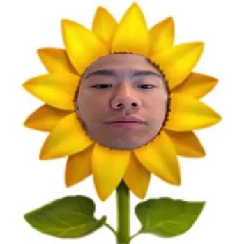 Kiran's Kick streamer profile picture