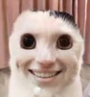 kittsune_san profile picture