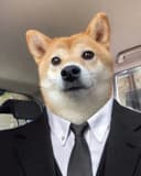 KnarySh profile picture