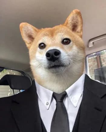 KnarySh's Kick streamer profile picture